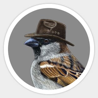 House sparrow Sticker